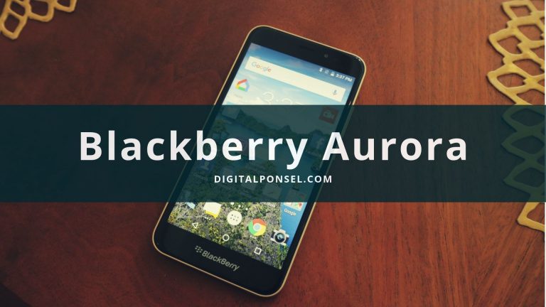 Blackberry Aurora