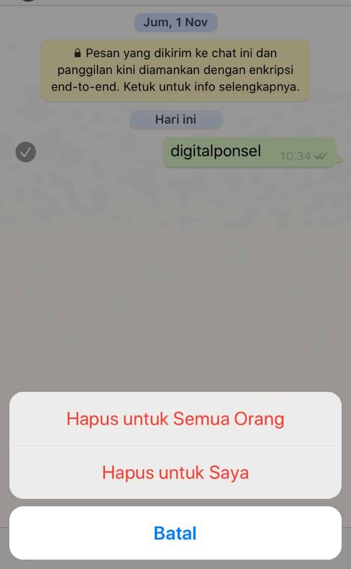 cara menghapus pesan iphone