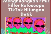 cara menghilangkan fitur filter rotoscope tiktok