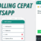 Cara Membuat Polling di WA