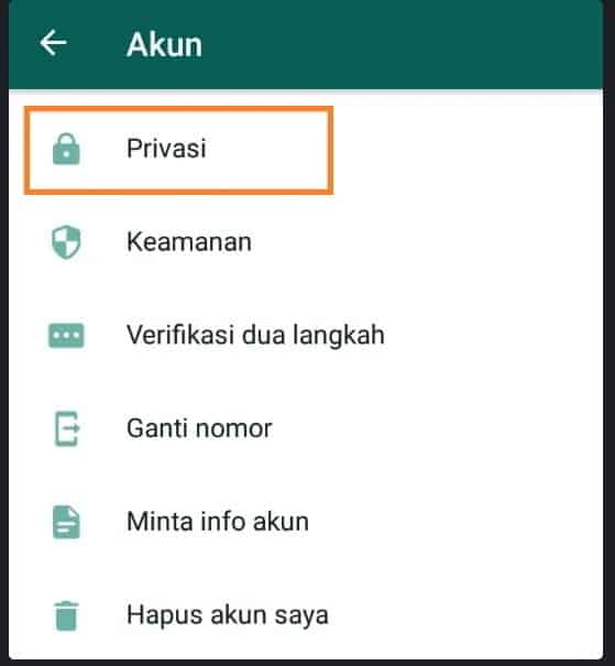 klik akun privasi pada WhatsApp