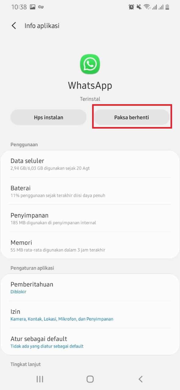 paksa berhenti menonaktifkan whatsapp sementara