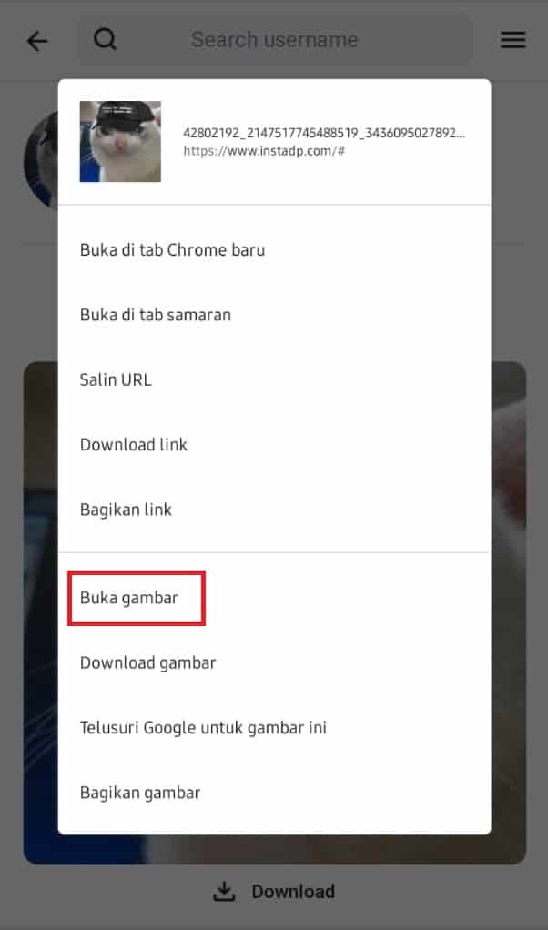 2 Cara Melihat Foto Profil Instagram Ukuran Penuh Mudah  